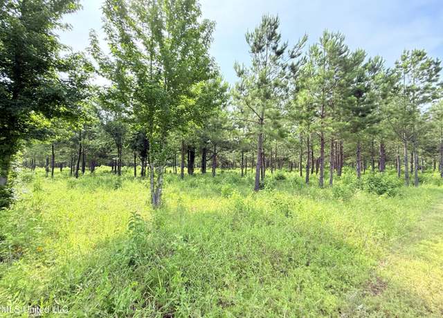 Property at Stout Farms Dr, Madison, MS 39110