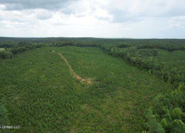 Property at County Road 481, Paris, MS 38949
