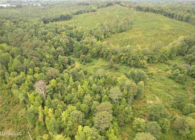 Property at County Road 428, Paris, MS 38949