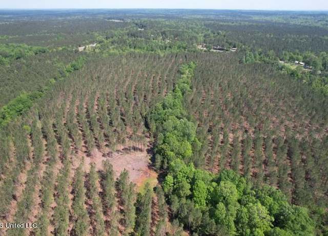 Property at Co Rd 5033, Heidelberg, MS 39439