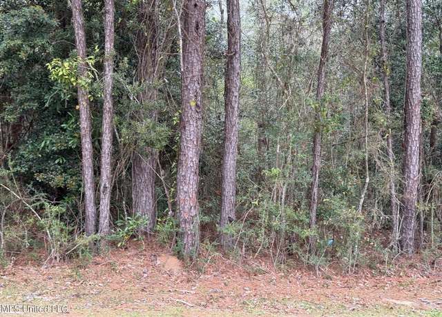 Property at 97172 Kalapama Dr, Diamondhead, MS 39525