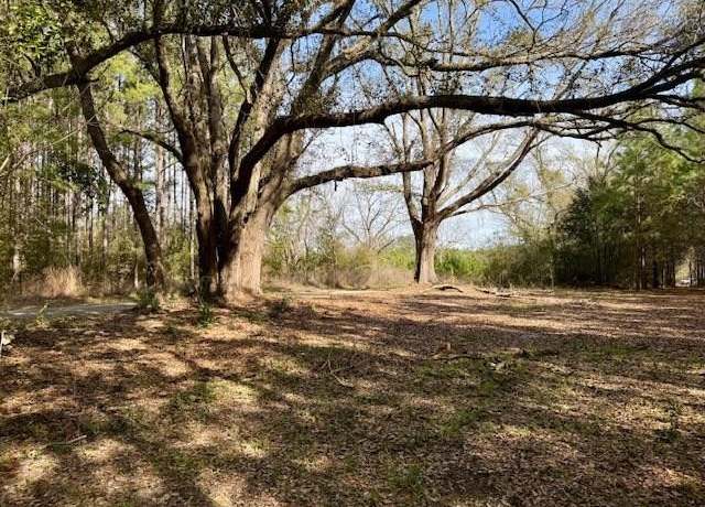 Property at 0 Military And Tynes Rd, Sandy Hook, MS 39478