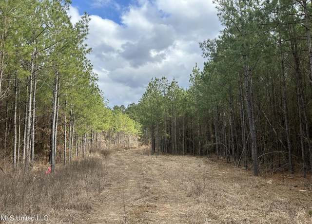 Property at St. Johns Rd, Braxton, MS 39044