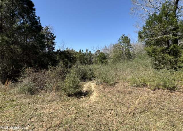 Property at 0 Conner Dr, Perkinston, MS 39573
