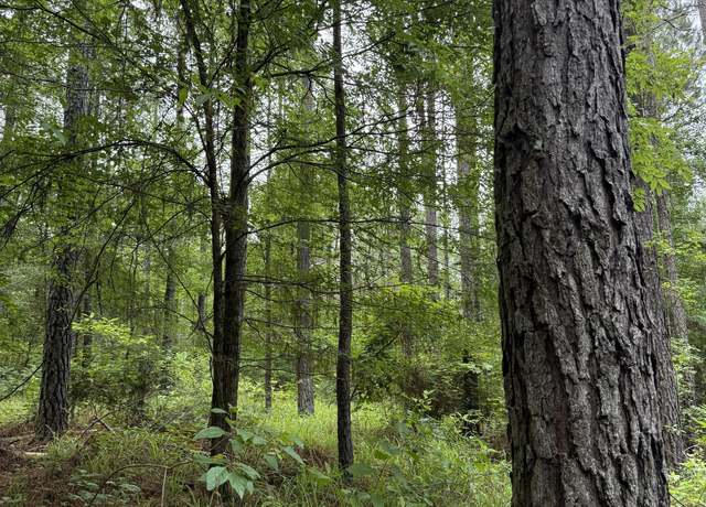Property at Lake Rd, Duck Hill, MS 38925
