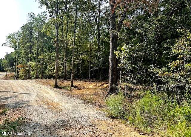 Property at 14000 Davenport Rd, Byhalia, MS 38611
