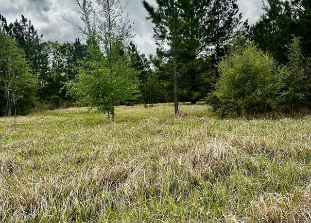 Property at Hwy 613, Lucedale, MS 39452