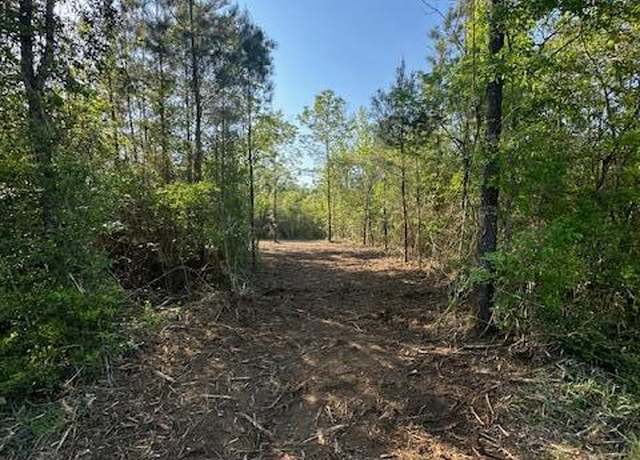 Property at Matthews, Tylertown, MS 39667