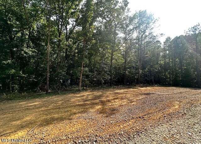 Property at 13999 Davenport Rd, Byhalia, MS 38611