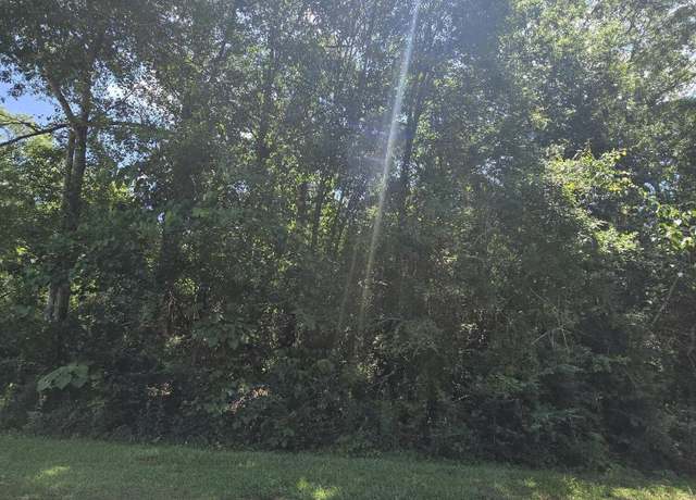 Property at 227 E Sunnybrook Rd, Carriere, MS 39426