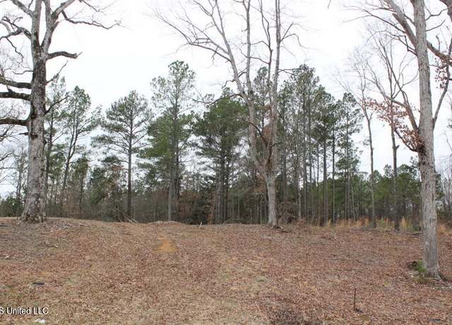 Property at Louise Rd, Byhalia, MS 38611
