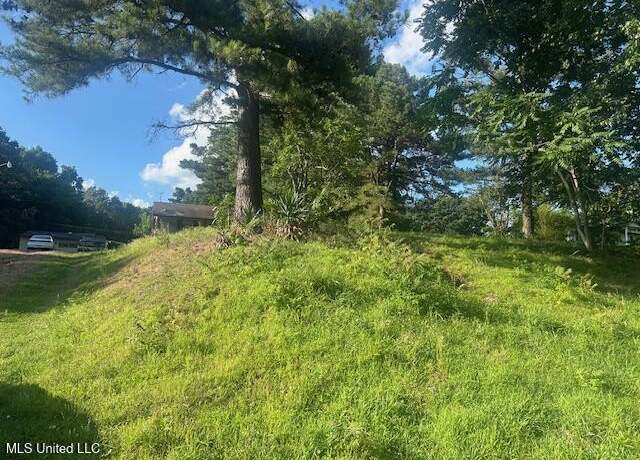 Property at 196 Pleasant Hill Rd, Nesbit, MS 38651