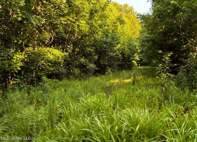 Property at 002 Mclaughlin Rd, Pontotoc, MS 38863