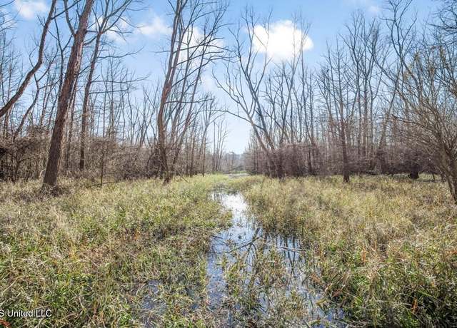 Property at 199 Robert Williams Rd, Lorman, MS 39096