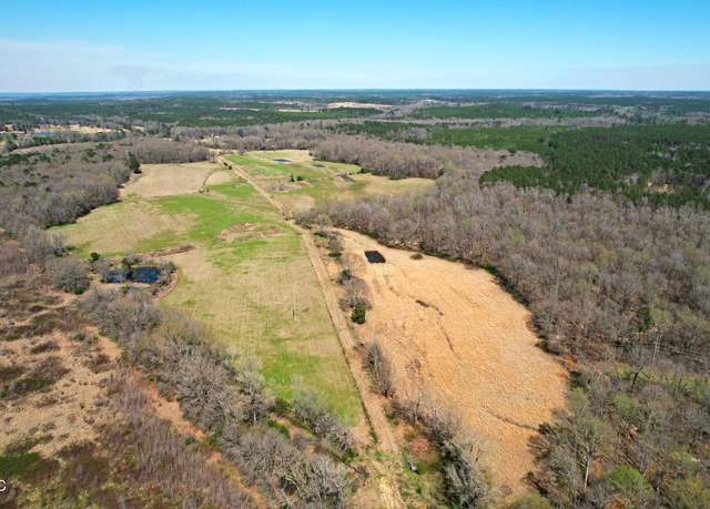 Property at Highway 35, Kosciusko, MS 39090