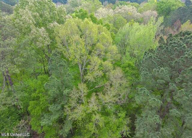 Property at 00 Little Creek Rd, Flowood, MS 39232