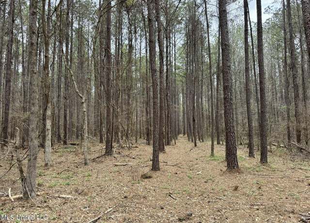 Property at Robinson Rd, Canton, MS 39046