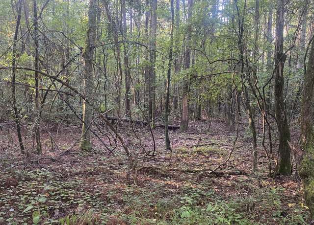 Property at 101 Kirby Creek Rd, Wiggins, MS 39577