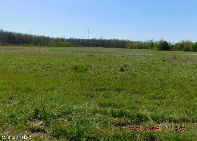 Property at 14243 Stockade Dr, Olive Branch, MS 38654