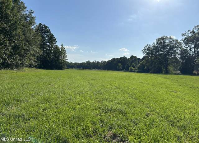 Property at County Road 233, Water Valley, MS 38965