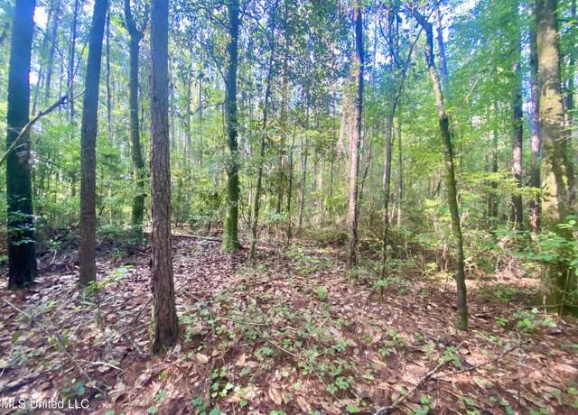 Property at 102 Kirby Creek Rd, Wiggins, MS 39577