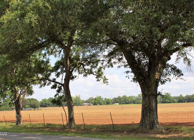 Property at 76.7 Acres Highway 613, Lucedale, MS 39452
