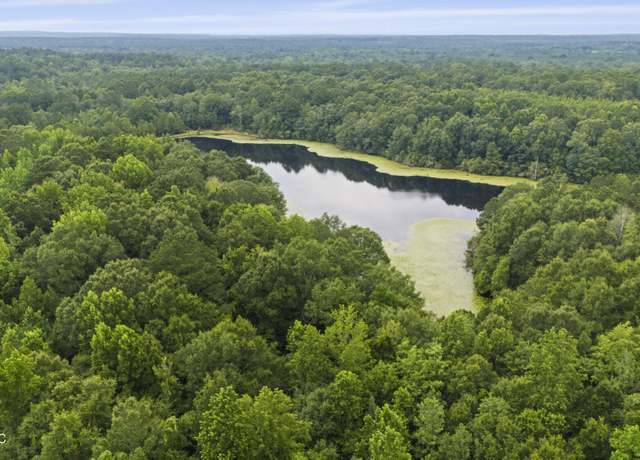 Property at 00 Tom Chance Rd, Poplarville, MS 39470