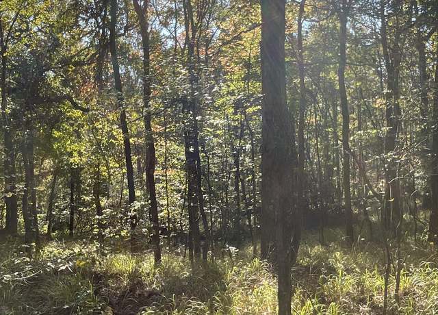 Property at 8339 County Road 53, Carrollton, MS 38917