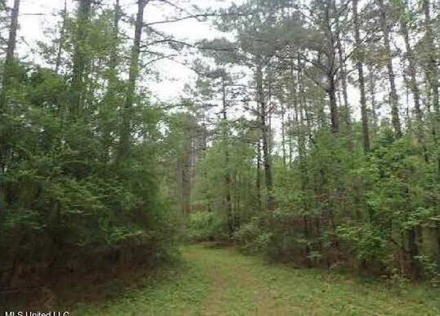 Property at 0 Levi Cooper Rd, Braxton, MS 39044