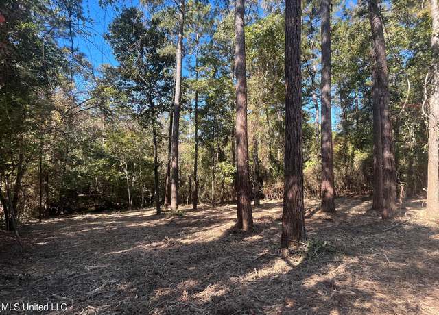 Property at Nhn Pinewood Dr, Petal, MS 39465