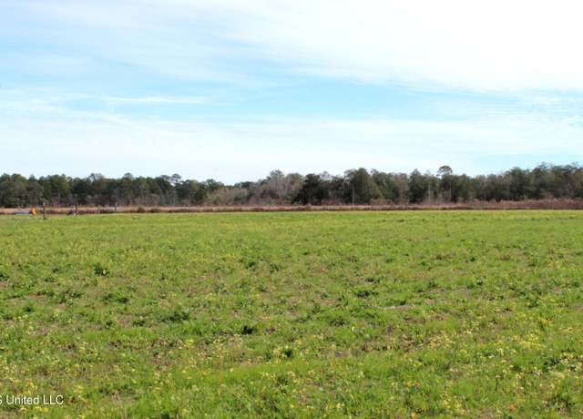 Property at Yellow Bluff Rd, Lucedale, MS 39452