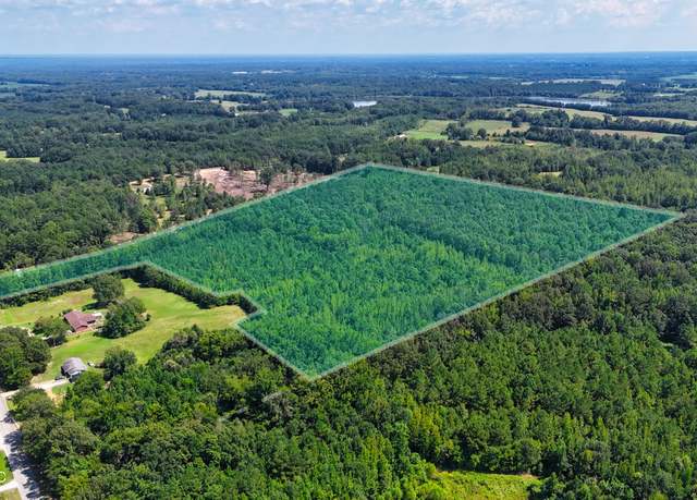 Property at 80 County Road 356, Rienzi, MS 38865