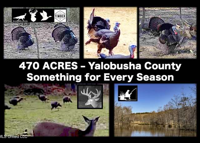 Property at 3114 212 Country Road, Water Valley, MS 38965