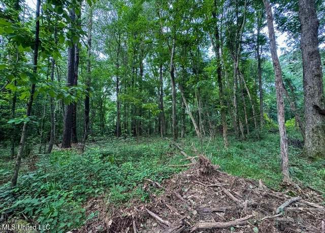 Property at 1 Old Hamburg Rd, Roxie, MS 39661