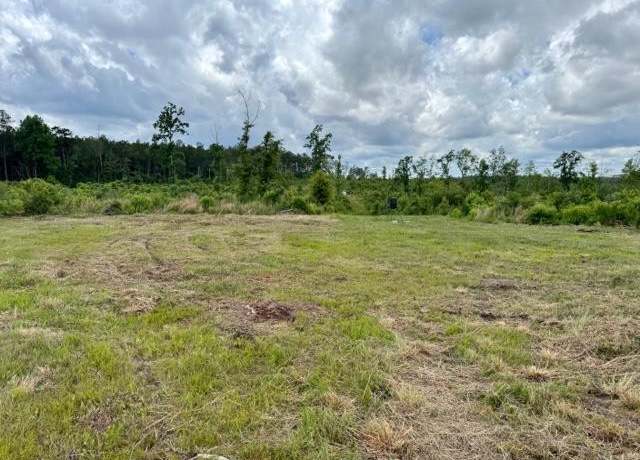 Property at 00 Dewitt Ln, LA 70427