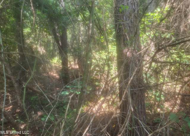 Property at 0 Otho Davis Rd, Lumberton, MS 39455