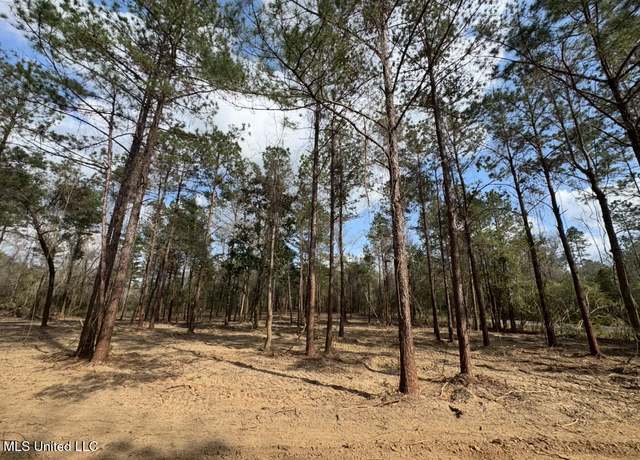 Property at Nhn E Wire East Rd, Perkinston, MS 39573
