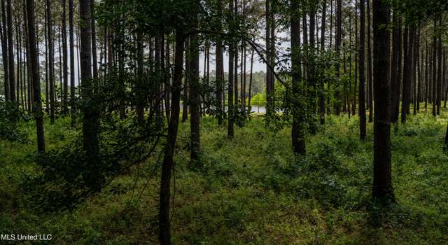 Photo of 0000 Pleasant Ridge Rd, Hickory, MS 39332