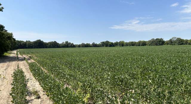 Photo of Hampton Lake Road Rd, Glendora, MS 38928