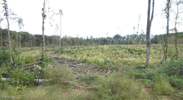 Photo of 31 811 Rd, Tillatoba, MS 38961