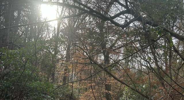 Photo of 000 Mose Hilliard Rd, Sontag, MS 39191