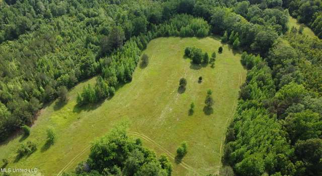 Photo of Fate Ward Rd, Prentiss, MS 39474