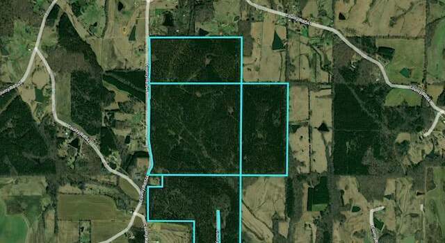 Photo of Cr 544, Rienzi, MS 38865