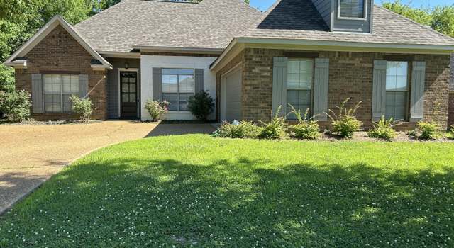 Photo of 153 Bradfield Rd, Gluckstadt, MS 39110