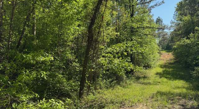 Photo of 0001 Hwy 51, West, MS 39192