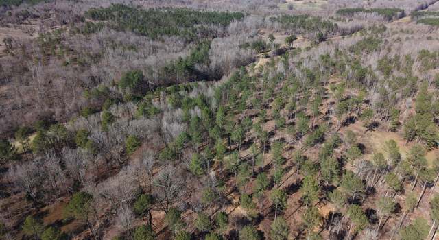 Photo of Paul Shady Grove Road Rd, Cascilla, MS 38920