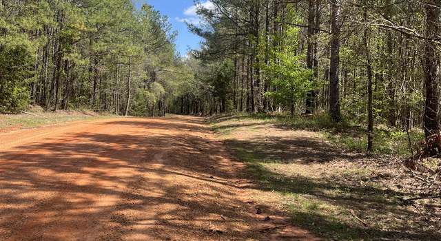 Photo of County Road 276, Union, MS 39365