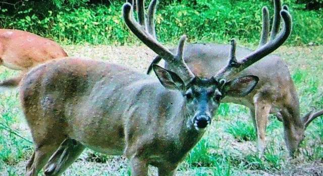 Photo of 0001 Coxs Ferry Rd, MS 39041