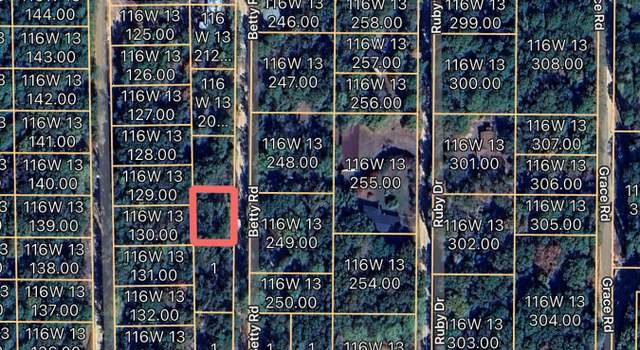 Photo of 282 Betty Rd, Gore Springs, MS 38929