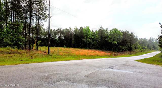 Photo of 36 E Stonegate Blvd, Perkinston, MS 39573